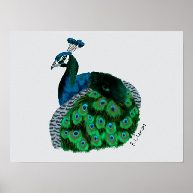 Elegant Peafowl Art Poster (Front)