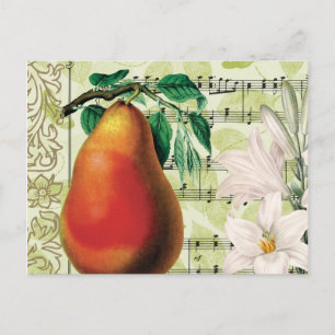 Elegant Pear Postcard