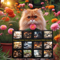Elegant Persian Cats in Cosy Moments 20XX 