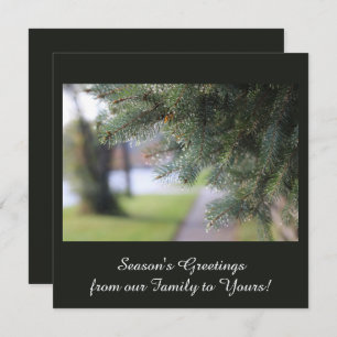 Elegant Personalised Evergreen Branches Dark Green Holiday Card