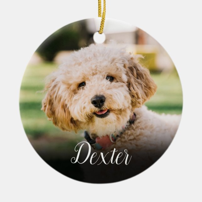 Elegant Pet Photo Cat Dog Memorial  Ceramic Ornament (Front)