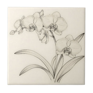 Elegant Phalaenopsis Orchid Line Art Ceramic Tile