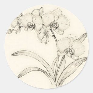Elegant Phalaenopsis Orchid Line Art Classic Round Sticker
