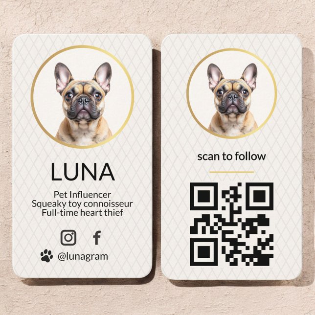 Elegant Photo Gold Dog Pet Social Media QR Code Business Card (Creator Uploaded)