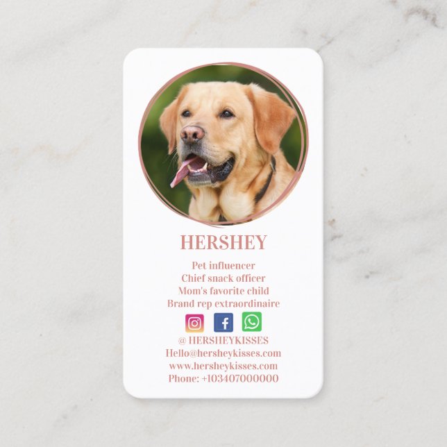 Elegant Photo Rose Gold Dog Pet Social Media Business Card (Front)