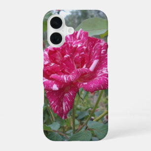 Elegant Pink And White Striped Rose,  iPhone 16 Case