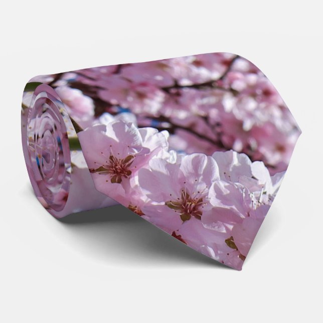 elegant pink cherry blossom tree photograph tie (Rolled)