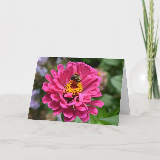 Elegant pink floral flower mum daisy honeybee card (Front)