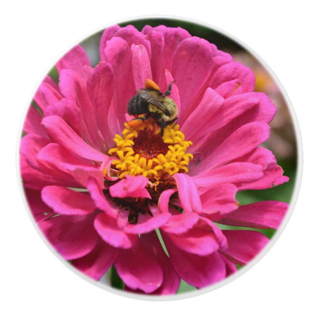 Elegant pink floral flower mum daisy honeybee ceramic knob (Front)