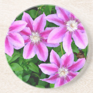 Elegant pink floral green botanical coaster