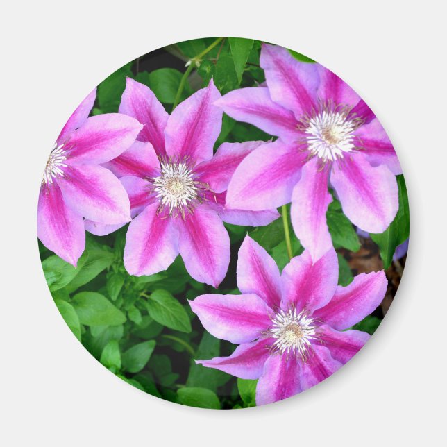 Elegant pink floral green botanical  magnet (Front)