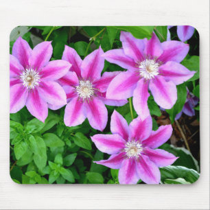 Elegant pink floral green botanical mouse pad