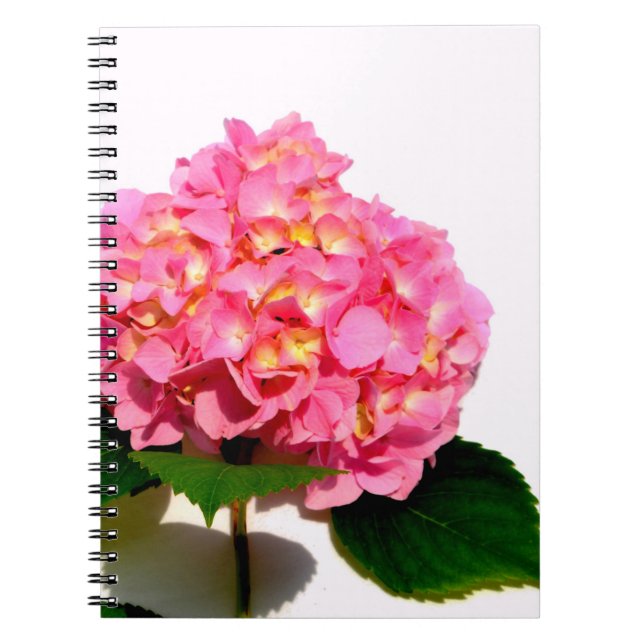 Elegant pink floral pink hydrangea  notebook (Front)