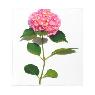 Elegant pink floral pink hydrangea  notepad