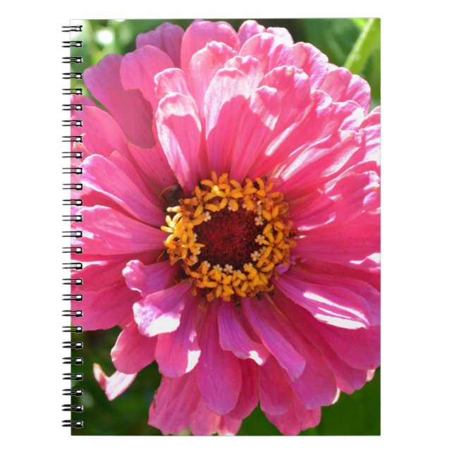 Elegant pink floral retro pink daisy  notebook (Front)