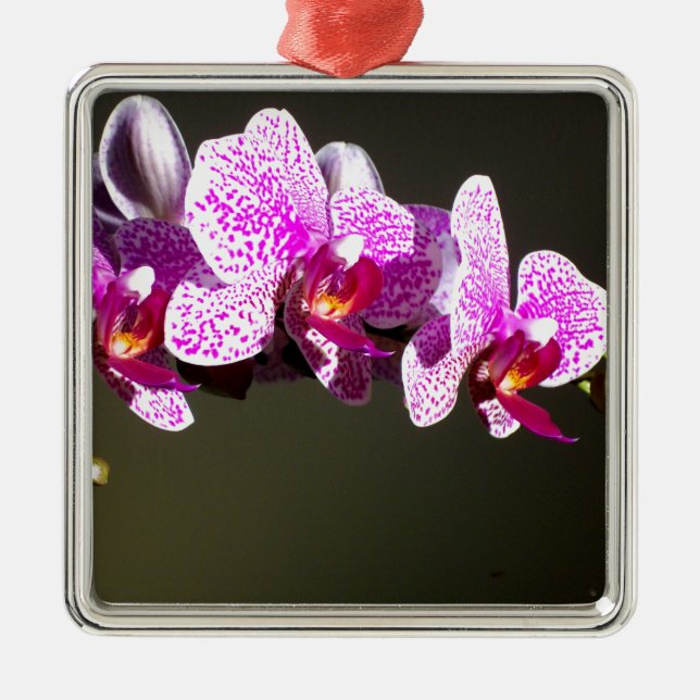 Elegant pink floral tropical pink orchids metal ornament (Front)