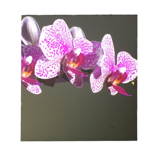 Elegant pink floral tropical pink orchids notepad (Front)