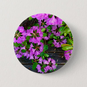 Elegant pink florals pink azaleas pink flowers 6 cm round badge