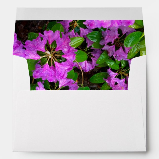 Elegant pink florals pink azaleas pink flowers envelope (Back (Bottom))