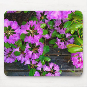Elegant pink florals pink azaleas pink flowers mouse pad