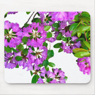 Elegant pink florals pink azaleas pink flowers mouse pad