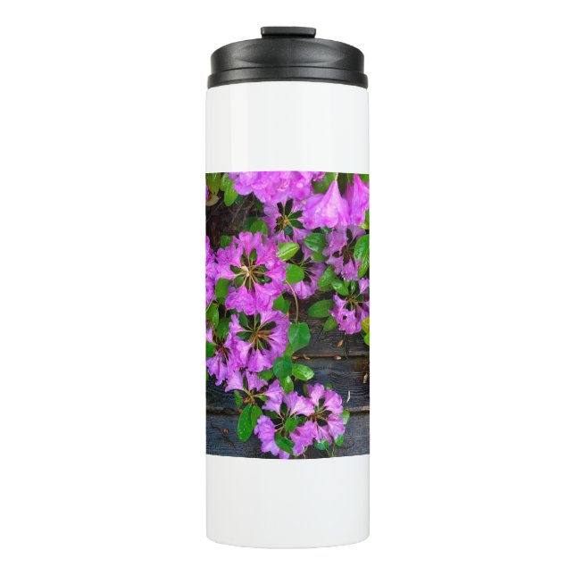 Elegant pink florals pink azaleas pink flowers thermal tumbler (Front)