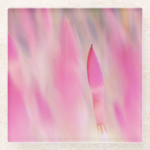 Elegant Pink Flower Print Coaster