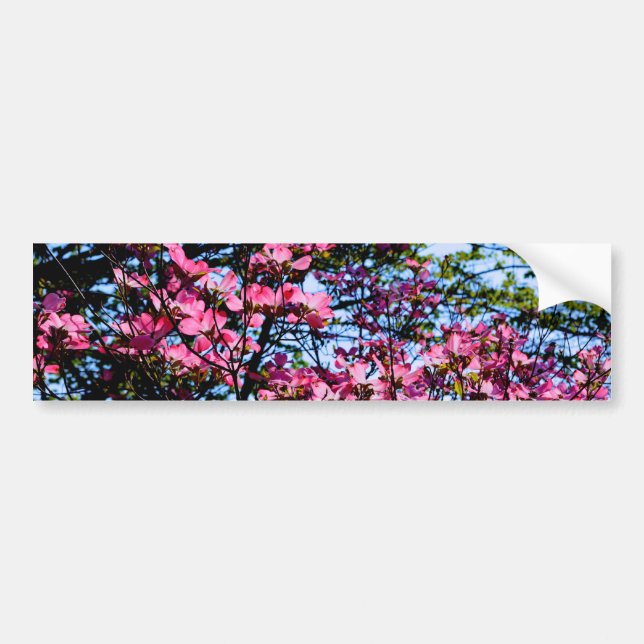 Elegant pink flowers florals blooming Dogwood tree Bumper Sticker (Front)
