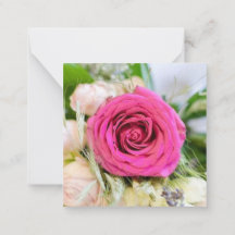 Elegant Pink Garden Rose Floral Flower