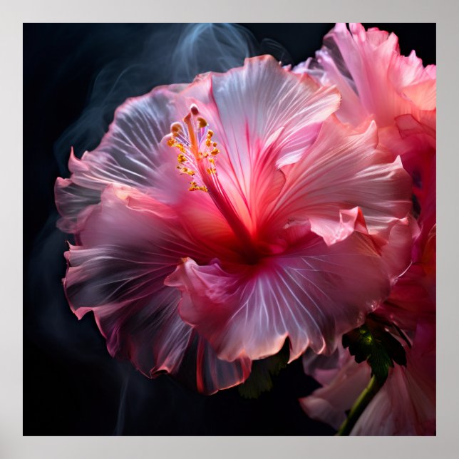 Elegant Pink Hibiscus Poster (Front)