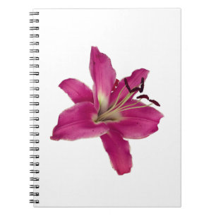 Elegant Pink Lily – Floral Aesthetic Notebook
