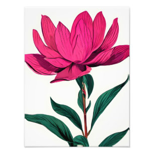 Elegant Pink Lotus Flower Photo Print