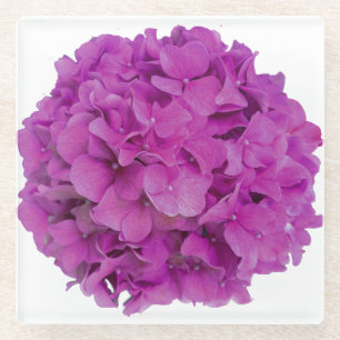 Elegant pink magenta floral hydrangeas roses glass coaster