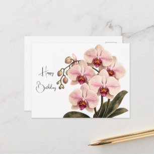 Elegant Pink Orchid Birthday Postcard