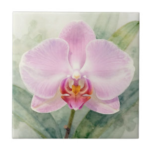 Elegant Pink Orchid Watercolor Botanical Floral Ceramic Tile