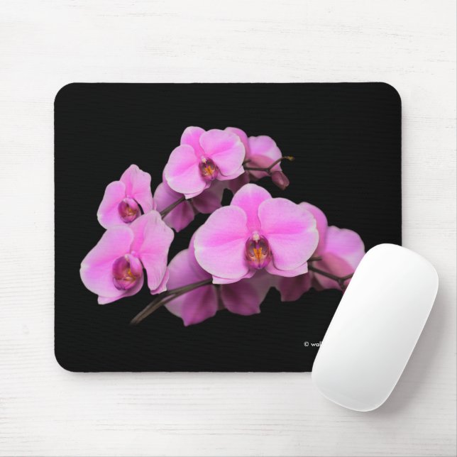 Elegant Pink Orchids Phalaenopsis Flowers on Black Mouse Pad (With Mouse)