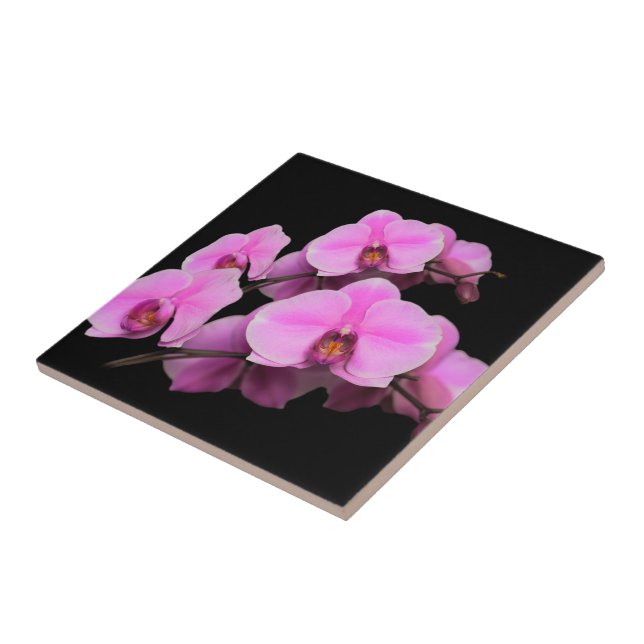 Elegant Pink Orchids Phalaenopsis on Black Ceramic Tile (Side)