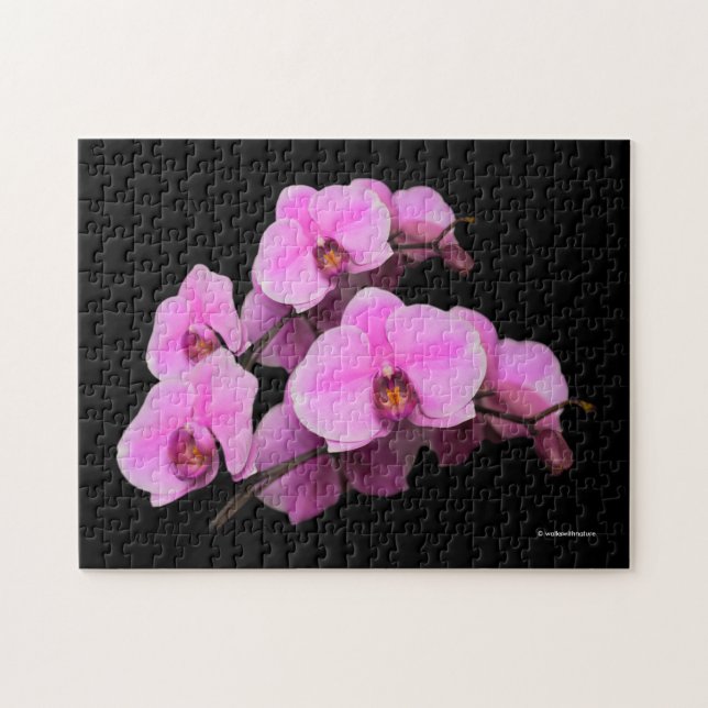 Elegant Pink Orchids Phalaenopsis on Black Jigsaw Puzzle (Horizontal)