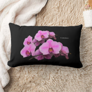 Elegant Pink Orchids Phalaenopsis on Black Lumbar Cushion