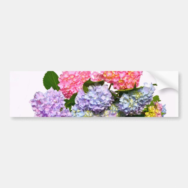 Elegant pink purple blue floral hydrangea bouquet  bumper sticker (Front)