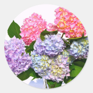Elegant pink purple blue floral hydrangea bouquet classic round sticker