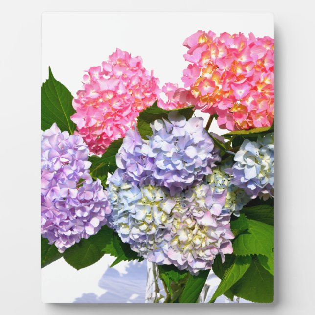 Elegant pink purple blue floral hydrangea bouquet  plaque (Front)