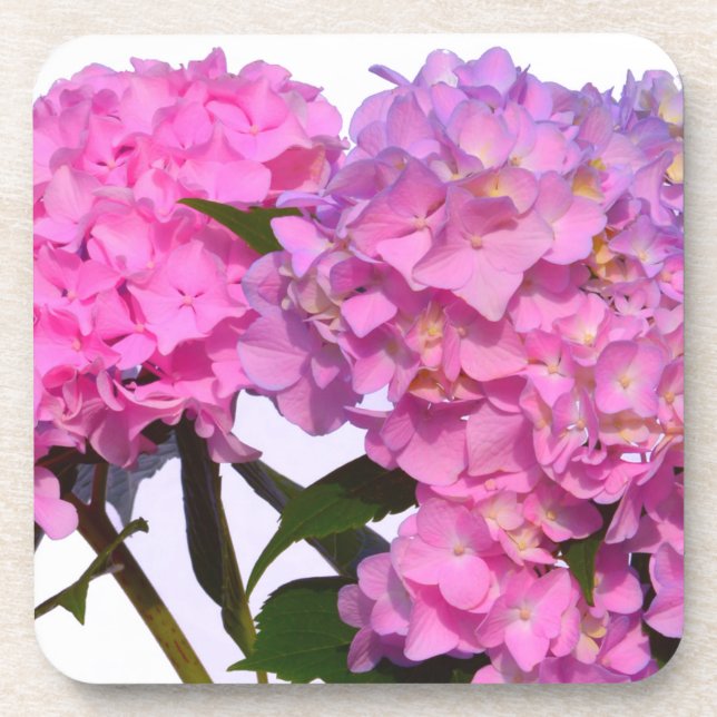 Elegant pink purple floral hydrangeas  coaster (Front)