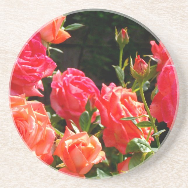 Elegant pink red orange floral roses coaster (Front)