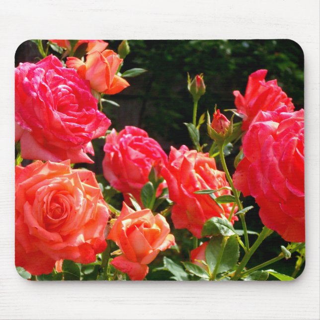 Elegant pink red orange floral roses mouse pad (Front)
