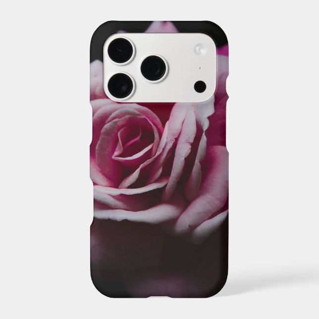  Elegant Pink Rose (Back)