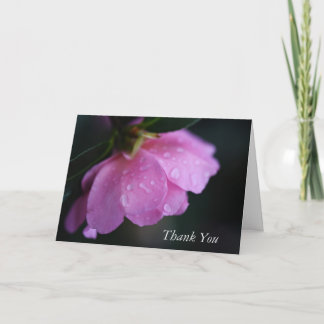 Elegant Pink Rose Close Up w/ Dew Happy Thank you Card