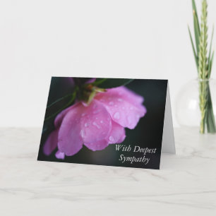 Elegant Pink Rose Close Up w/ Dew Sympathy Card