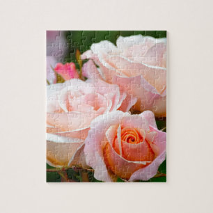 Elegant pink roses jigsaw puzzle