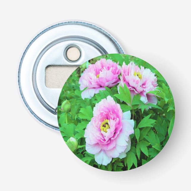 Elegant Pink Tree Peony Flowers with Yellow Centre Bottle Opener (Front)